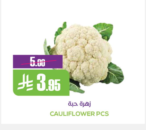 قرنبيط available at سبت in مملكة العربية السعودية, السعودية, سعودية - بريدة