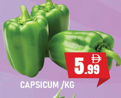 Chilli / Capsicum available at AL MADINA (Dubai) in UAE - Dubai