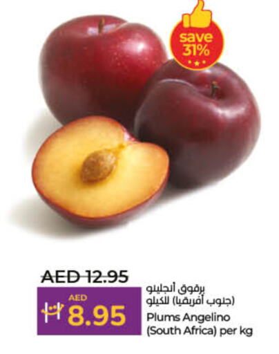 Plums from South Africa available at Lulu Hypermarket in UAE - Ras al Khaimah