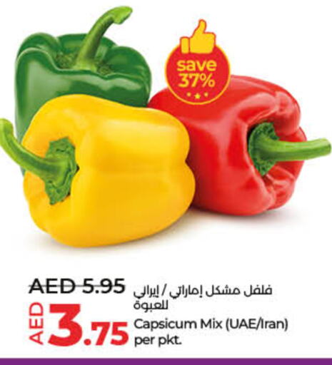 Chilli / Capsicum from Iran available at Lulu Hypermarket in UAE - Umm al Quwain