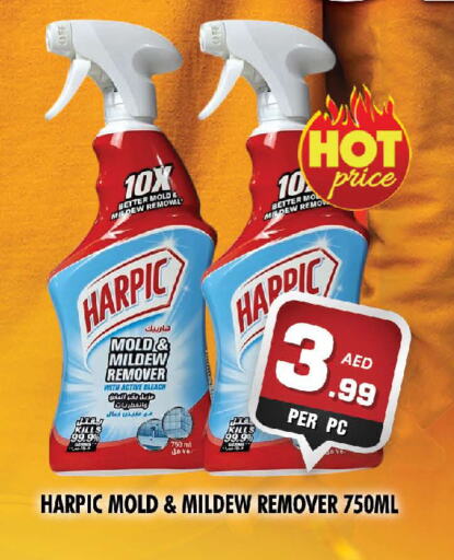 HARPIC Bleach available at NIGHT TO NIGHT DEPARTMENT STORE in UAE - Dubai