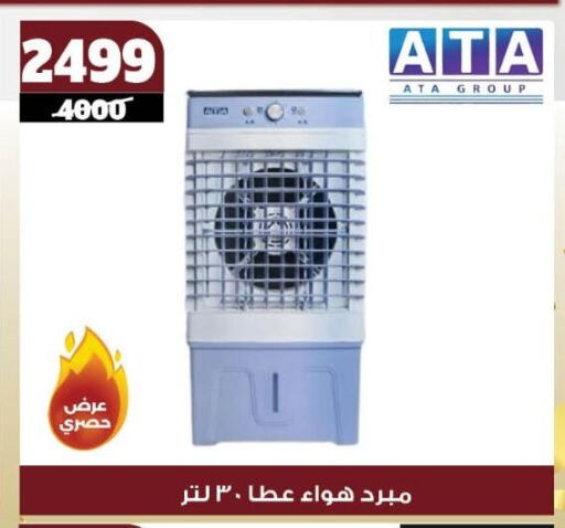 الأدوات المنزلية الصغيرة in كوكو اند اس, Egypt Offers - Egypt available at كوكو اند اس in Egypt - القاهرة