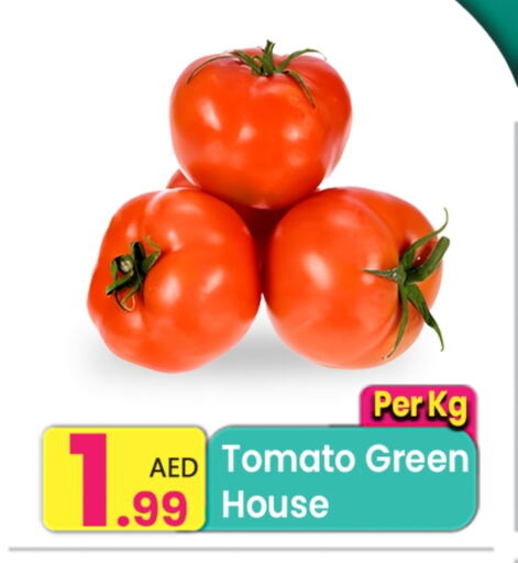 Fresh Vegetables in Everyday Center, UAE Offers - United Arab Emirates Tomato available at Everyday Center in UAE - Ras al Khaimah