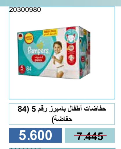 حفاضات أطفال in جمعية مشرف التعاونية, الكويت Offers - الكويت بامبي available at جمعية مشرف التعاونية in الكويت - مدينة الكويت