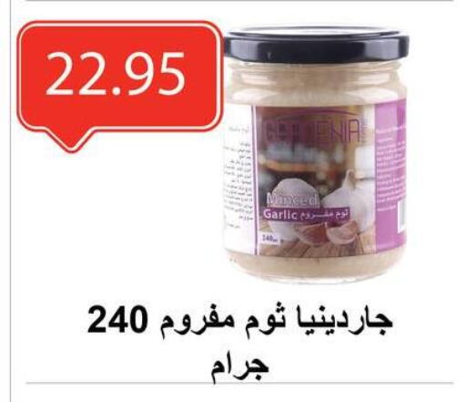 Canned & Packeted in El-Hawary Market, Egypt Offers - Egypt Garlic available at El-Hawary Market in Egypt - Cairo
