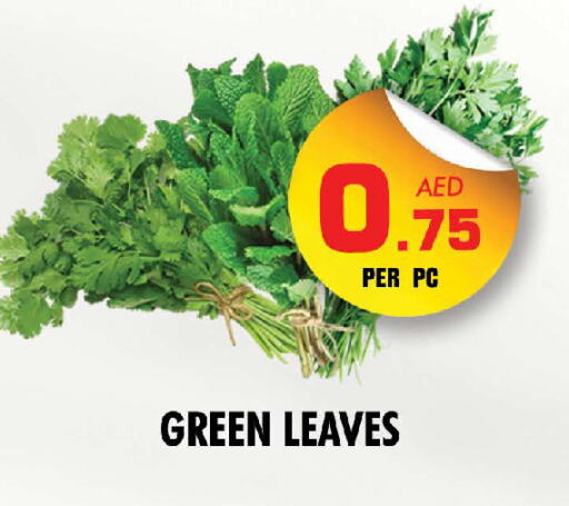 available at نايت تو نايت in الإمارات العربية المتحدة , الامارات - دبي