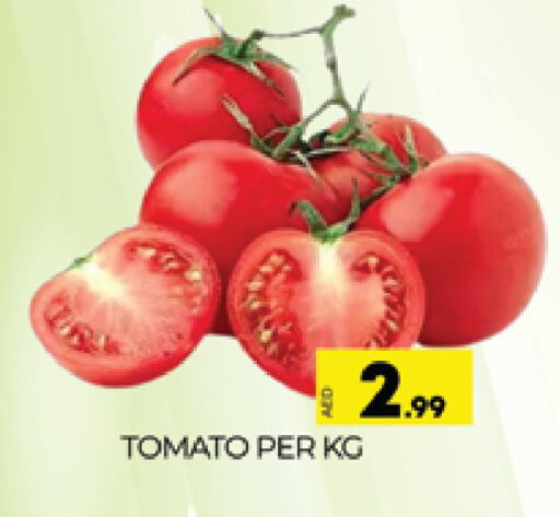 Tomato available at AL MADINA (Dubai) in UAE - Dubai