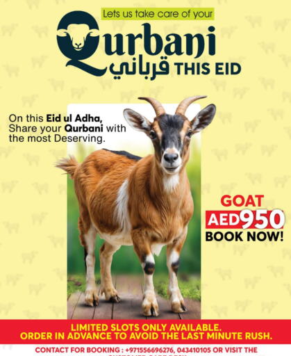 available at جراند هايبر ماركت in الإمارات العربية المتحدة , الامارات - أبو ظبي