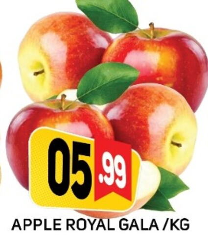 فاكهة طازجة in داي لايف هايبرماركت, UAE Offers - الإمارات العربية المتحدة تفاح available at داي لايف هايبرماركت in الإمارات العربية المتحدة , الامارات - دبي