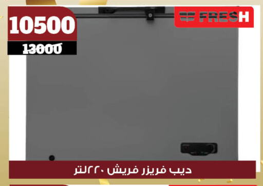 فريزر available at كوكو اند اس in Egypt - القاهرة