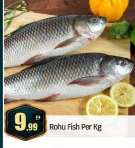 available at BIGmart in UAE - Abu Dhabi