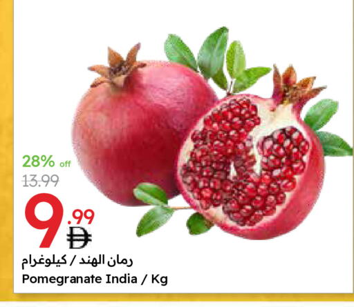 رمان from India available at جمعية الامارات التعاونية in الإمارات العربية المتحدة , الامارات - دبي