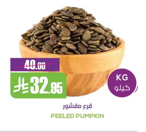 Pumpkin available at سبت in مملكة العربية السعودية, السعودية, سعودية - بريدة