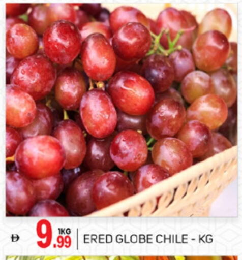 فاكهة طازجة in سوق طلال, UAE Offers - الإمارات العربية المتحدة from Chile available at سوق طلال in الإمارات العربية المتحدة , الامارات - دبي