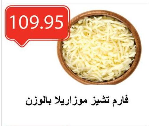 Mozzarella available at El-Hawary Market in Egypt - Cairo