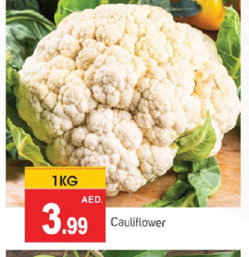 الخضروات الطازجة in سوق طلال, UAE Offers - الإمارات العربية المتحدة قرنبيط available at سوق طلال in الإمارات العربية المتحدة , الامارات - الشارقة / عجمان