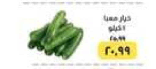 Cucumber available at Kheir Zaman  in Egypt - Cairo