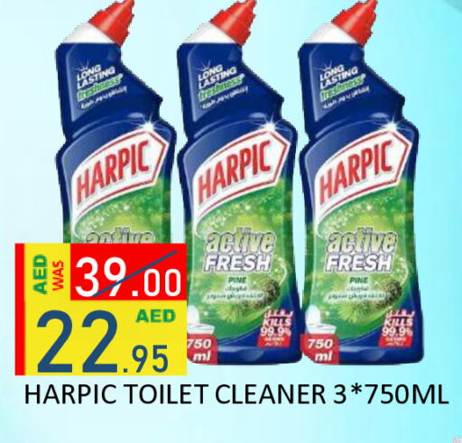 HARPIC Toilet / Drain Cleaner available at ROYAL GULF HYPERMARKET LLC in UAE - Abu Dhabi