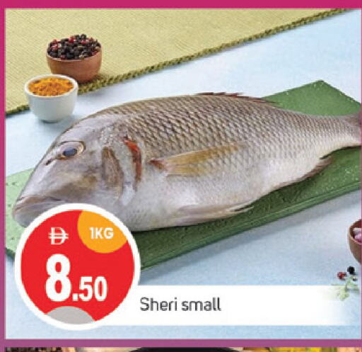 Fresh Fish in TALAL MARKET, UAE Offers - United Arab Emirates available at TALAL MARKET in UAE - Sharjah / Ajman