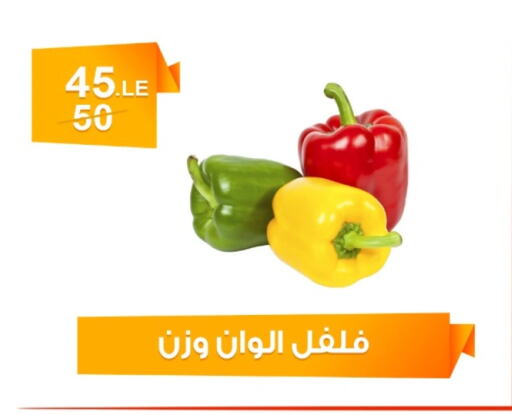 from Egypt available at Hyper Meeza Egypt  in Egypt - Cairo