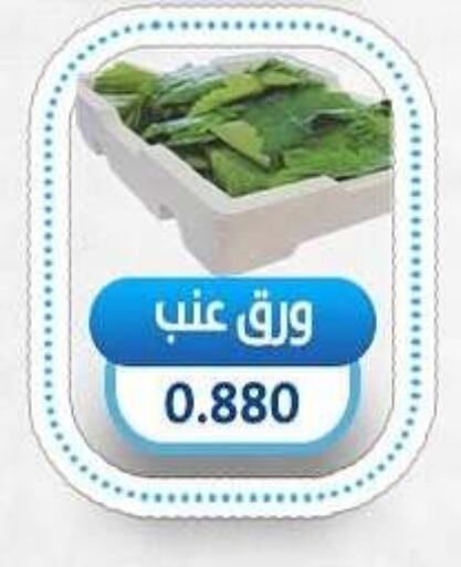 available at جمعية السالمية العاونية in الكويت - مدينة الكويت
