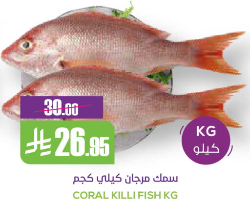 available at Sapt in KSA, Saudi Arabia, Saudi - Buraidah