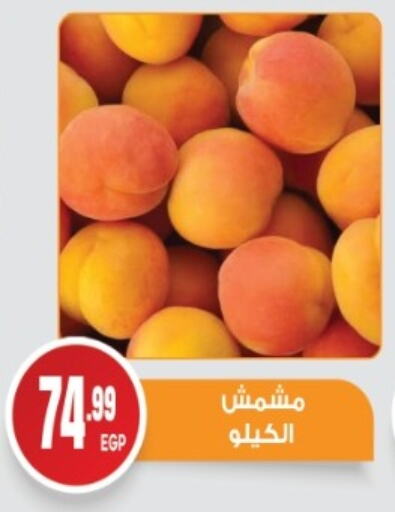 Dried Fruits & Dates in El mhallawy Sons, Egypt Offers - Egypt available at El mhallawy Sons in Egypt - Cairo
