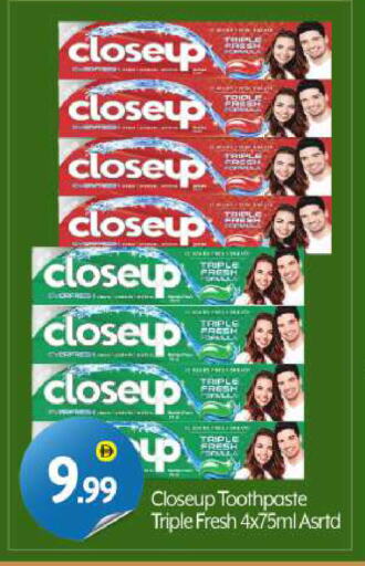 CLOSE UP Toothpaste available at BIGmart in UAE - Dubai