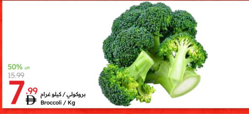 Broccoli available at جمعية الامارات التعاونية in الإمارات العربية المتحدة , الامارات - دبي