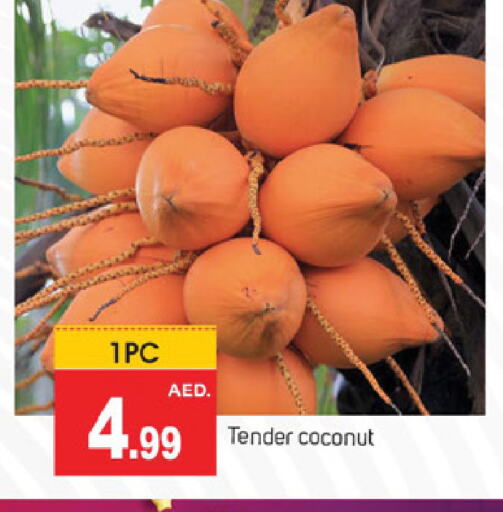 الخضروات الطازجة in سوق طلال, UAE Offers - الإمارات العربية المتحدة Coconut available at سوق طلال in الإمارات العربية المتحدة , الامارات - الشارقة / عجمان