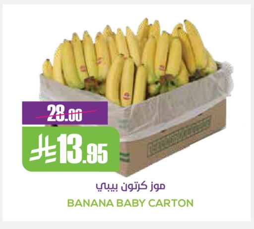 Banana available at Sapt in KSA, Saudi Arabia, Saudi - Buraidah