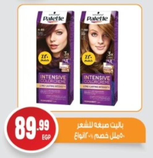 available at El mhallawy Sons in Egypt - Cairo