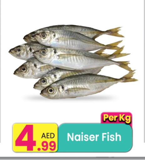 available at Everyday Center in UAE - Dubai
