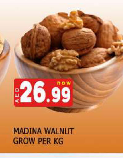 available at المدينة in الإمارات العربية المتحدة , الامارات - دبي