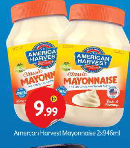 AMERICAN HARVEST Mayonnaise available at BIGmart in UAE - Abu Dhabi