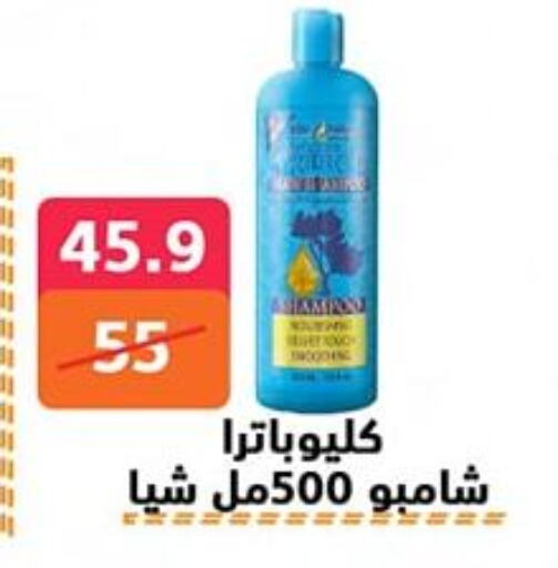 Shampoo / Conditioner available at Hyper City Damietta in Egypt - Cairo
