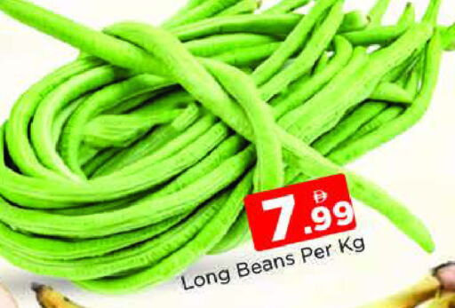 Beans available at AL MADINA (Dubai) in UAE - Dubai