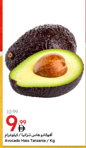 أفوكادو from Tanzania available at جمعية الامارات التعاونية in الإمارات العربية المتحدة , الامارات - دبي