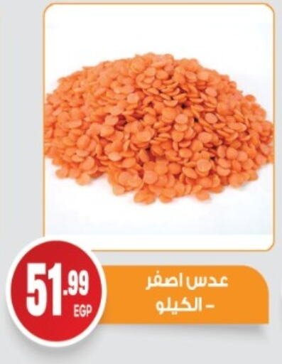 Pulses, Beans & Grains in El mhallawy Sons, Egypt Offers - Egypt available at El mhallawy Sons in Egypt - Cairo