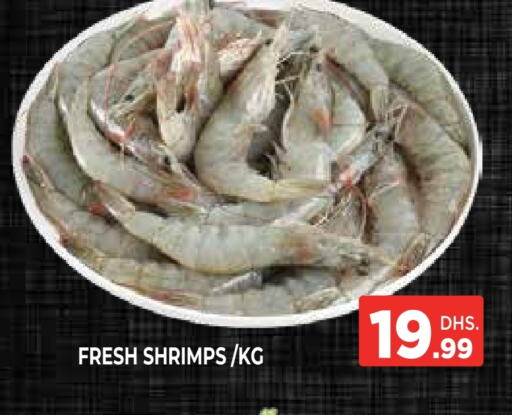 الأسماك الطازجة in اينس المدينة هايبرماركت, UAE Offers - الإمارات العربية المتحدة available at اينس المدينة هايبرماركت in الإمارات العربية المتحدة , الامارات - الشارقة / عجمان