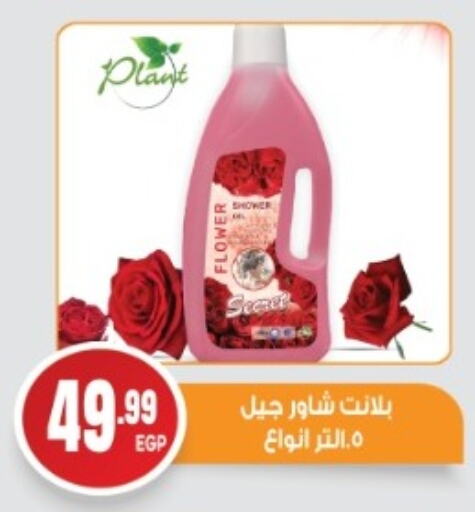 available at أولاد المحاوى in Egypt - القاهرة