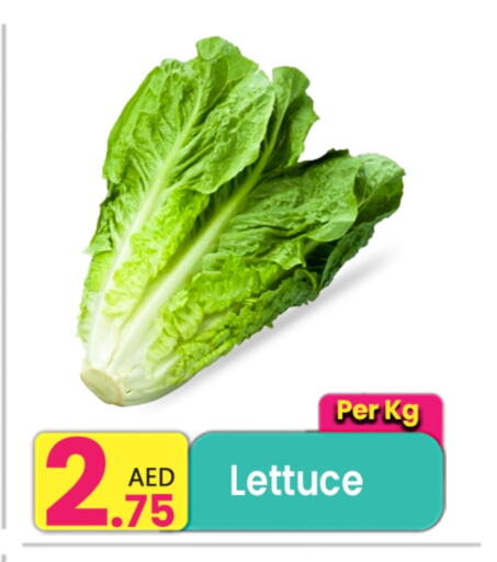Lettuce available at Everyday Center in UAE - Dubai