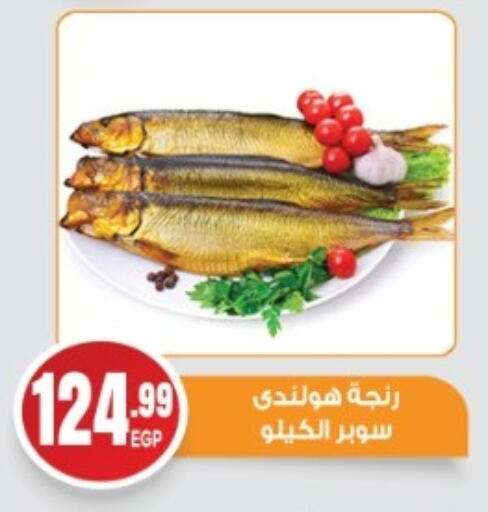available at أولاد المحاوى in Egypt - القاهرة