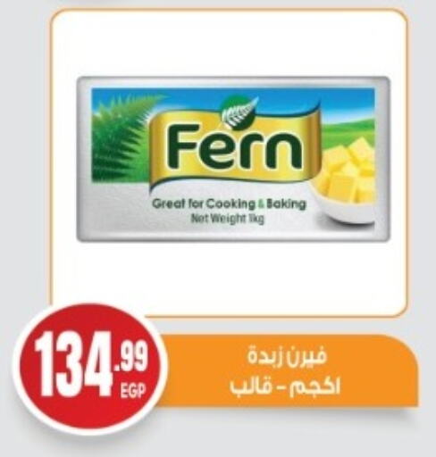 FERN available at El mhallawy Sons in Egypt - Cairo