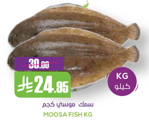 available at Sapt in KSA, Saudi Arabia, Saudi - Buraidah