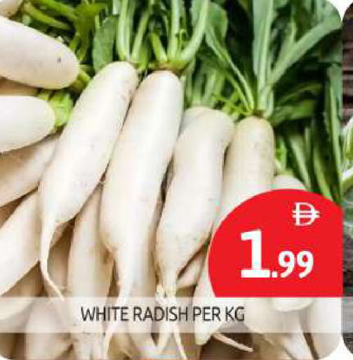 فجل available at بيج مارت in الإمارات العربية المتحدة , الامارات - أبو ظبي