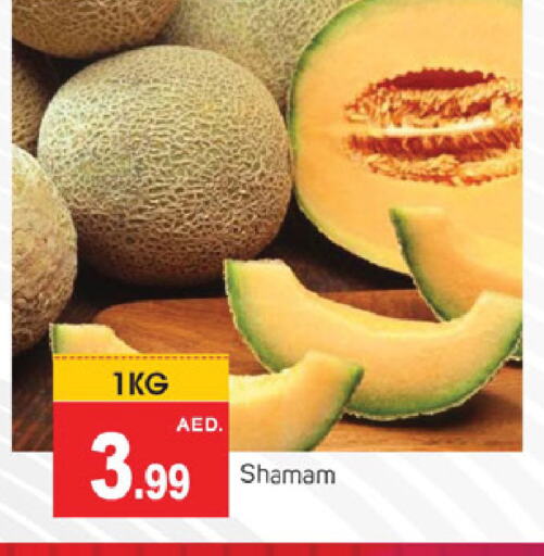 الخضروات الطازجة in سوق طلال, UAE Offers - الإمارات العربية المتحدة available at سوق طلال in الإمارات العربية المتحدة , الامارات - الشارقة / عجمان