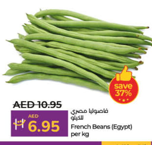 Beans from France Egypt available at Lulu Hypermarket in UAE - Dubai