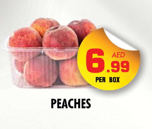 available at NIGHT TO NIGHT DEPARTMENT STORE in UAE - Dubai