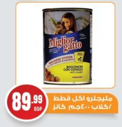 available at أولاد المحاوى in Egypt - القاهرة